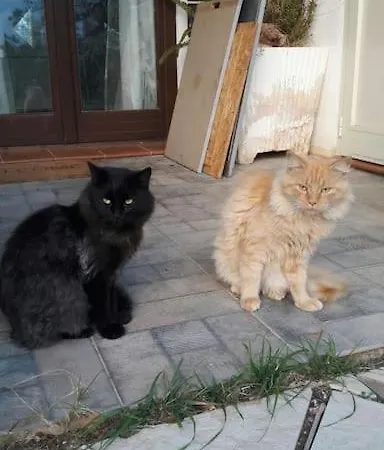 Casa Vacanza Is Istrias *